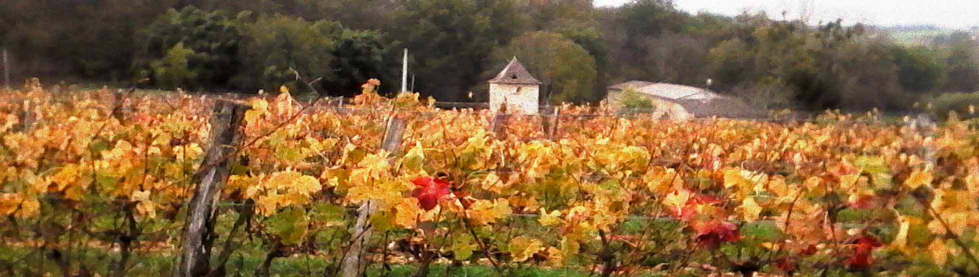 Château du Tastet